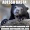 adesso basta! E non parlarmi, non guardarmi, non scrivermi, Non Pensarmi, non..ecco.