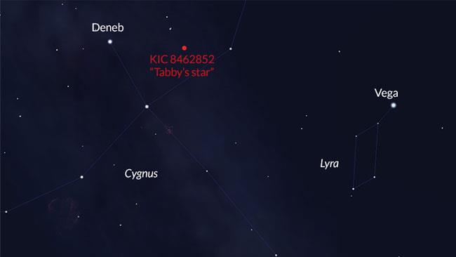 La posizione nel cielo della stella Tabby