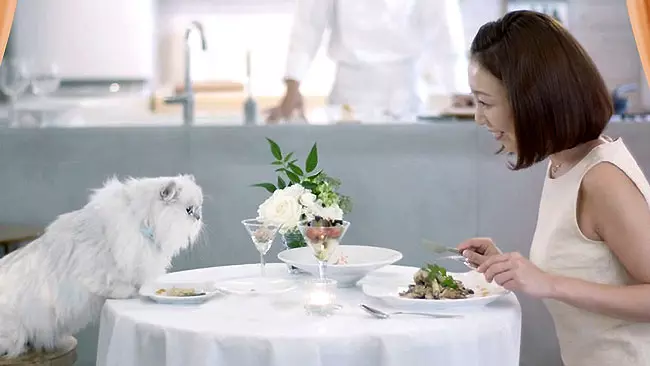 Il servizio di catering per padroni e gatti ideato da Nestlé Japan in azione. Una donna a cena con il proprio gatto grazie al servizio di catering offerto da Nestlé Japan.