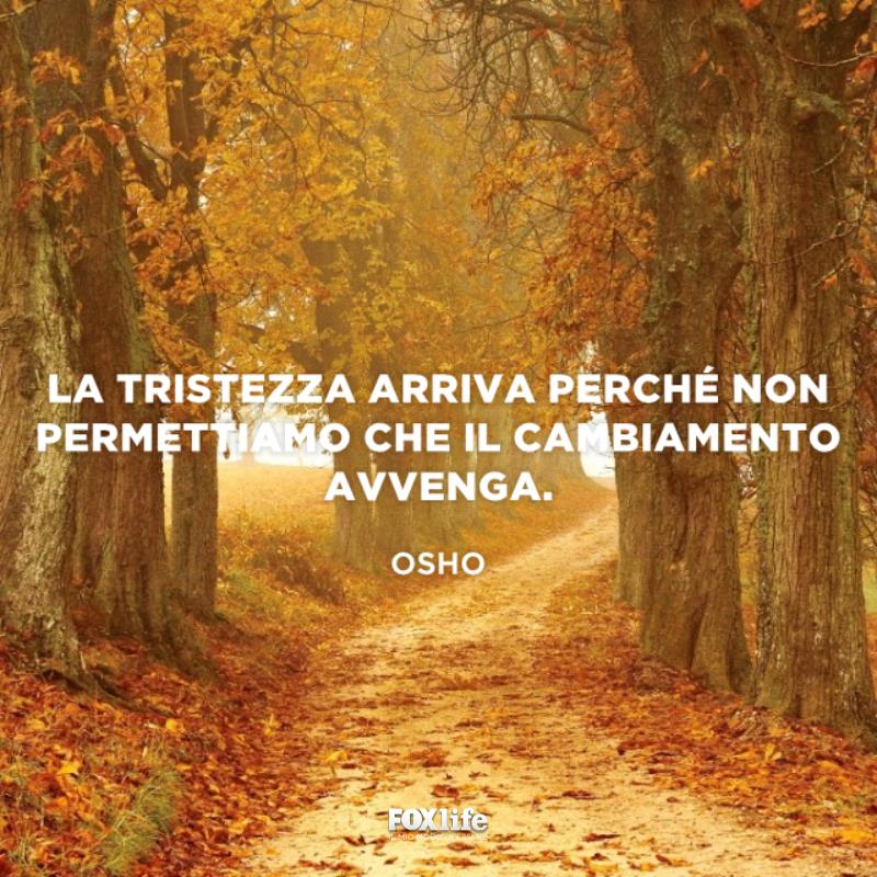 Cambiare è necessario Strada in un bosco d'autunno