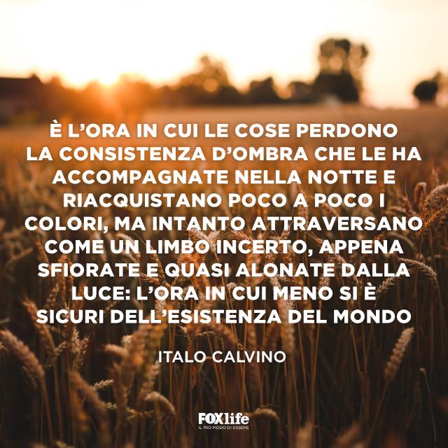 Frase Calvino Alba su campo di grano