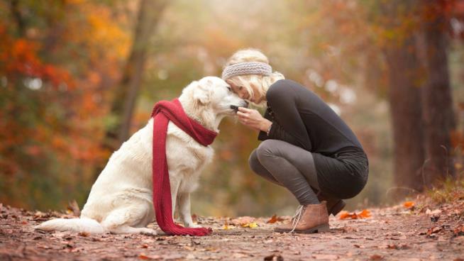 Una donna ed il suo cane Una donna accarezza un cane nel bosco