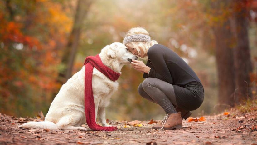 Una donna ed il suo cane Una donna accarezza un cane nel bosco