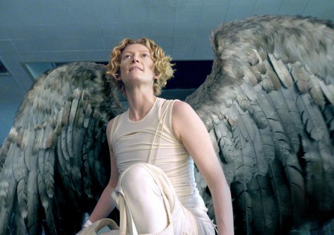 Tilda Swinton bellissimo angelo Tilda Swinton bellissimo angelo