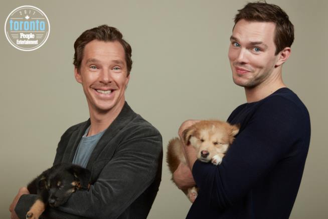 Benedict Cumberbatch e Nicholas Hoult a Toronto Benedict Cumberbatch e Nicholas Hoult tengono in braccio cuccioli