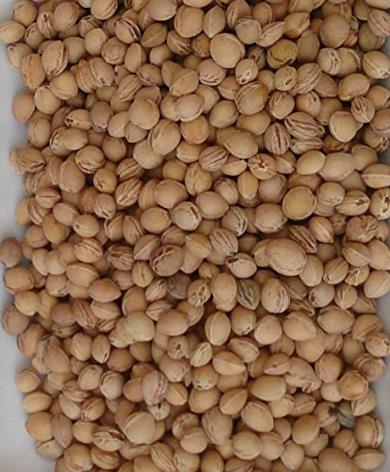 Noccioli di ciliegia per imbottitura, 5 kg