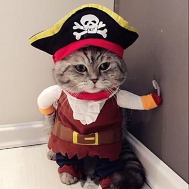 Costume da pirata, per cane e gatto, con cappello