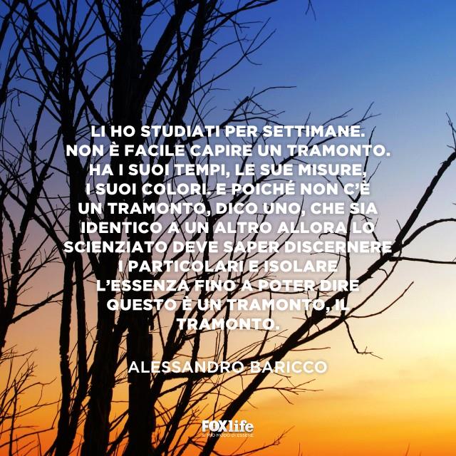 Frase di Baricco sul tramonto Alberi in controluce al tramonto