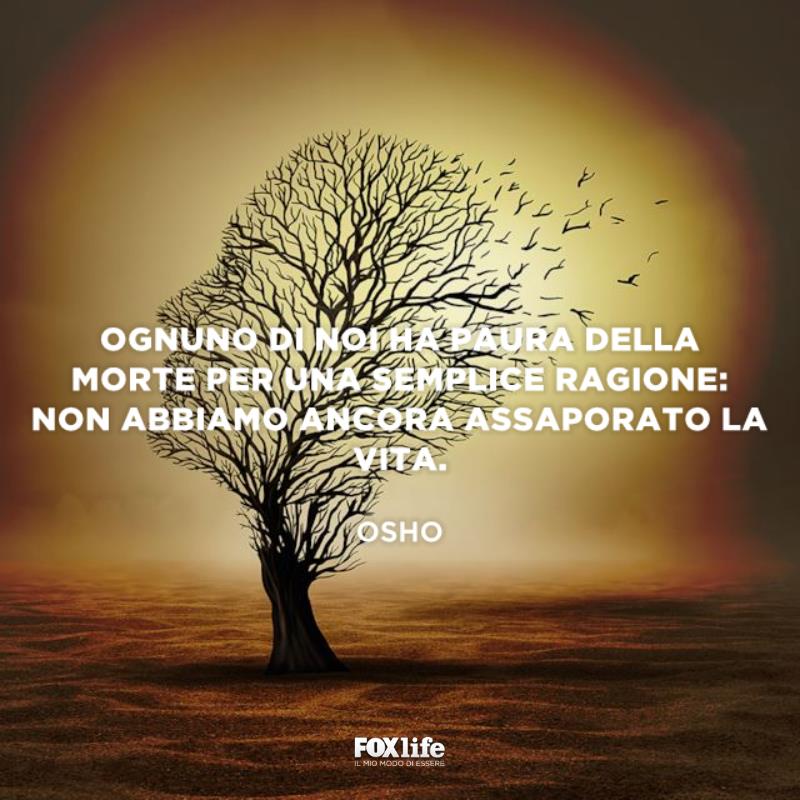 Frase paura della morte Albero spoglio