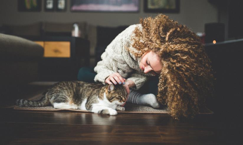 Allergia ai gatti: cos'è, test e terapie Cos'è l'allergia ai gatti: test, terapie cosa sapere