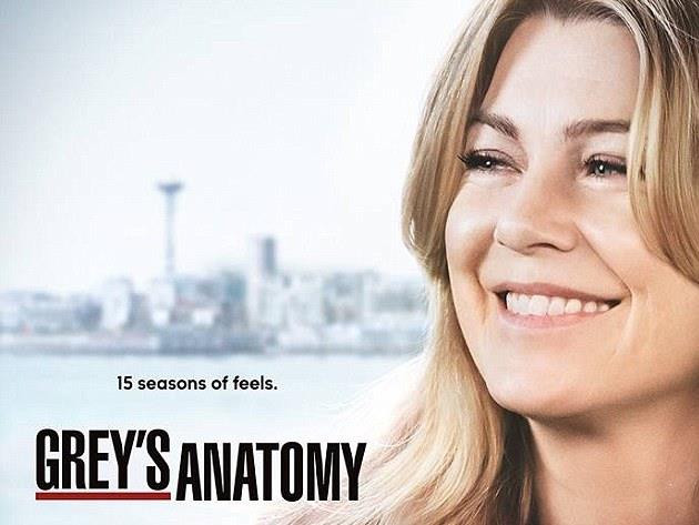 Grey's Anatomy 15 Poster Grey's Anatomy 15