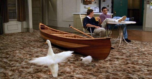 Il gallo e l'oca nell'appartamento di Joey e Chandler Il gallo e l'oca nell'appartamento di Joey e Chandler in Friends