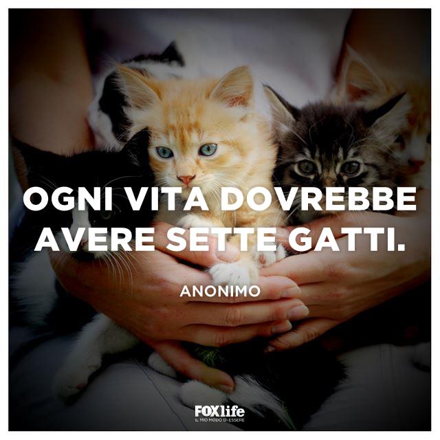 grandi tette grosso cazzo nero