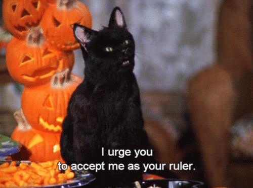 Salem Salem vuole comandare
