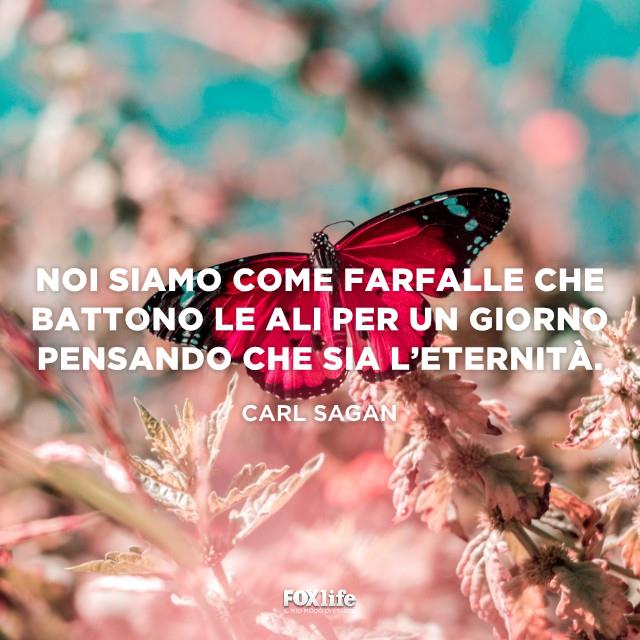Citazione Sagan Farfalla su un una pianta