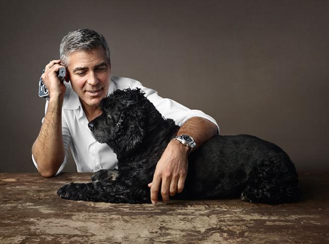 George Clooney con uno dei suoi cani adottati Il cane Einstein insieme a George Clooney