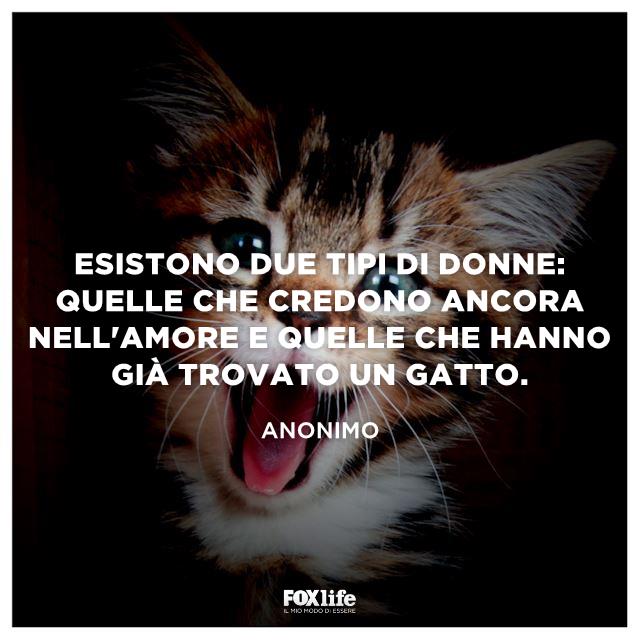 Frase tipi di donne Gattino a bocca spalancata