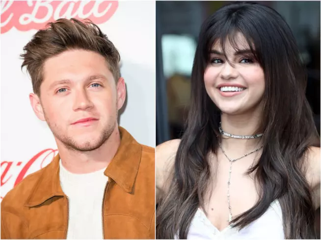 Niall Horan e Selena Gomez stanno insieme? Niall Horan e Selena Gomez