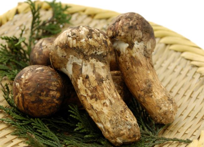 Alimenti da ricchi: una lista dei cibi extralusso tra i più costosi del mondo. Funghi Matsutake