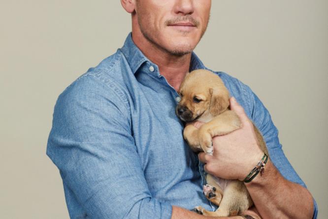 Luke Evans Luke Evans tiene in braccio un cucciolo