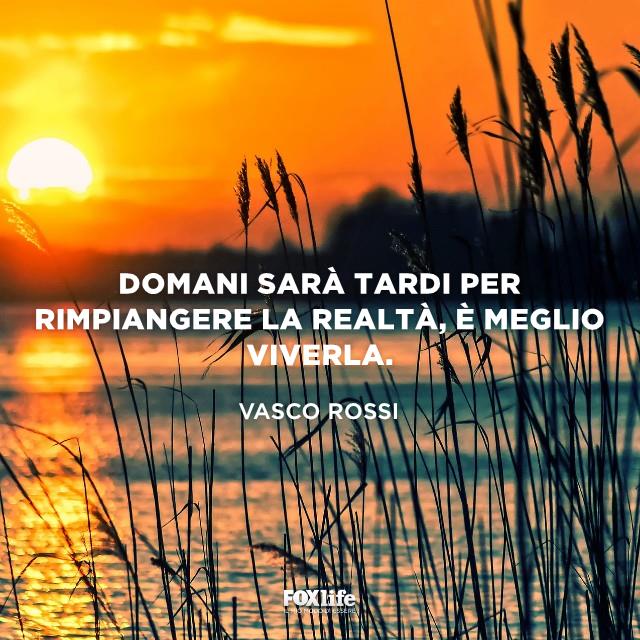 Frase Vasco Rossi Piante alla luce del tramonto in riva al lago
