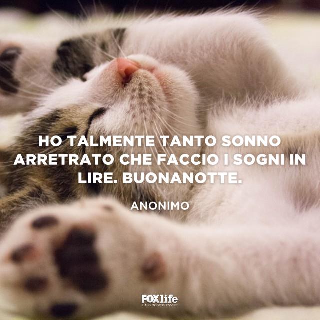 Frase sul sonno arretrato Micino sul letto
