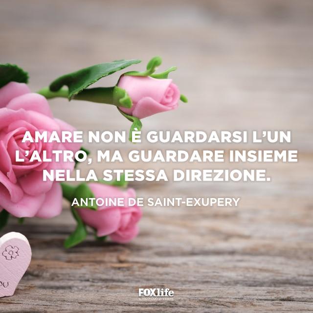 Citazione Antoine Rose rosa su un tavolo
