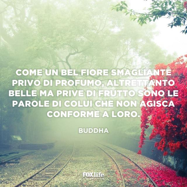 Alle parole va seguita l'azione Rotaie di un treno in un bosco