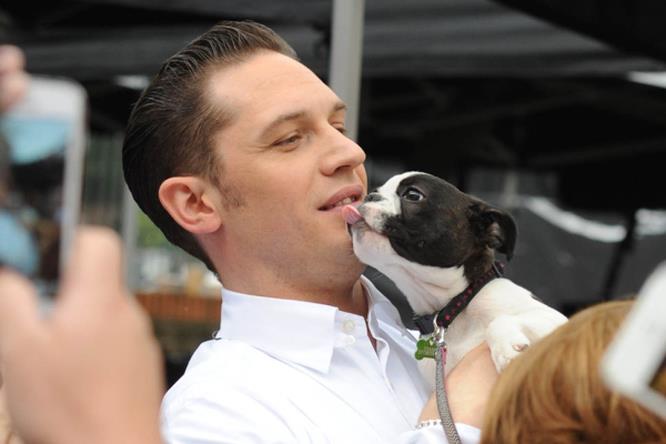 Tom Hardy sul set di Legend L'attore inglese Tom Hardy tra le riprese di Legend