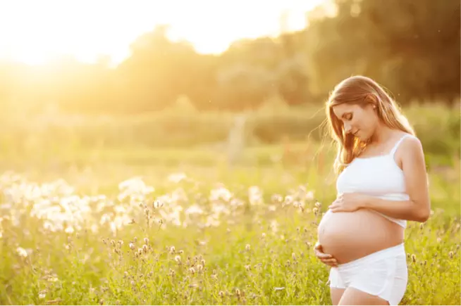 Una donna in dolce attesa Una donna incinta