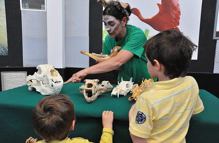 Tutti i consigli su cosa fare nel weekend 2-3 giugno Foreste Sottosopra, evento dedicato alle famiglie e ai bambini