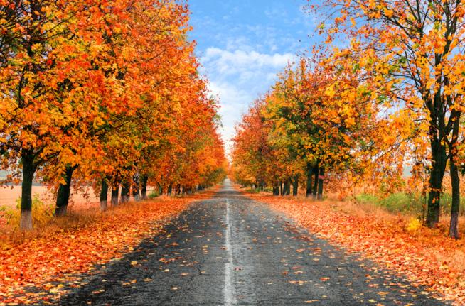 Autunno in Lombardia Autunno in Lombardia