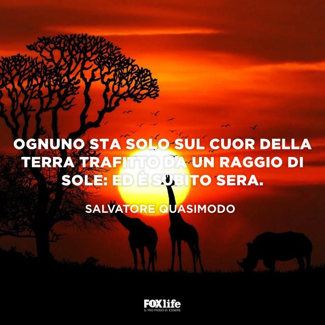 Frase Quasimodo Tramonto in Africa