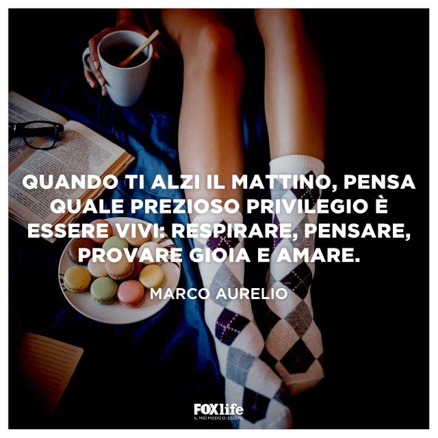 Frase Aurelio Ragazza sul letto con biscotti e tè