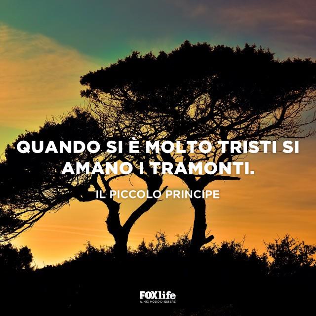 Frase piccolo principe Alberi in penombra su una collina