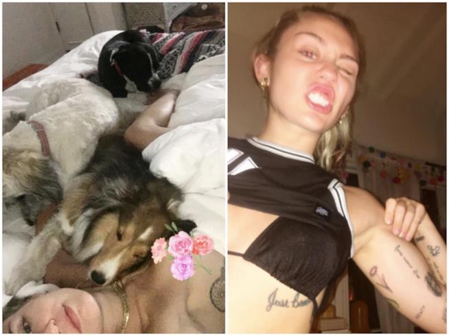 Miley Cyrus e il suo nuovo selfie in topless Miley Cyrus e il selfie in topless con i suoi cani