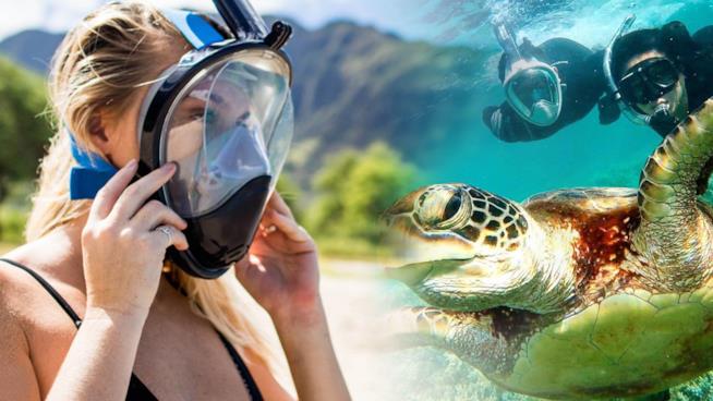 Migliori kit per snorkeling Migliori kit per snorkeling da quelli economici di Decathlon ai professionali di Mares e Cressi