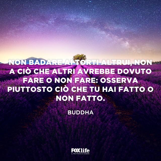 Non badare ai torti altrui Campo di lavanda
