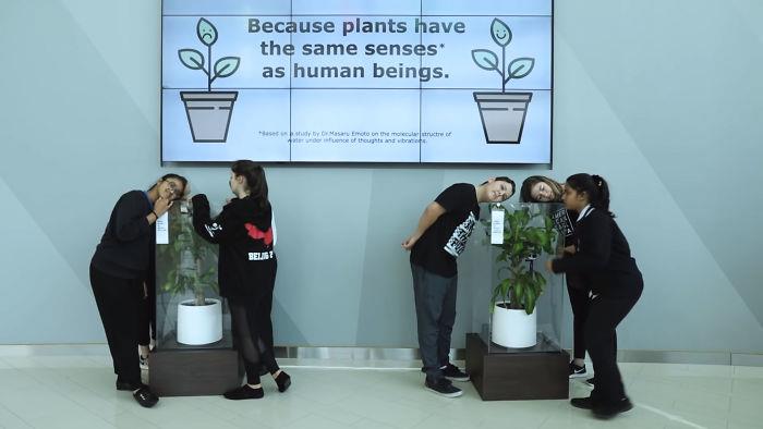 L'esperimento Bully a Plant di IKEA Un immagine del video che spiega l'esperimento Bully a Plant di IKEA