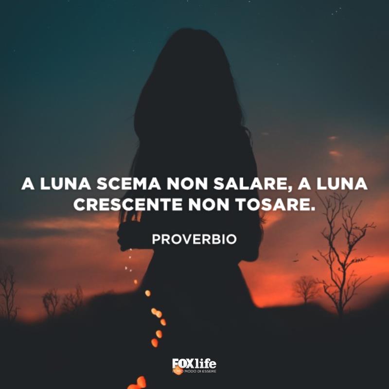 Proverbio italiano Ragazza in ombra in una campagna