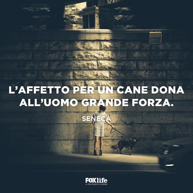 Frase Seneca Ragazzo e cane fermi in strada di notte