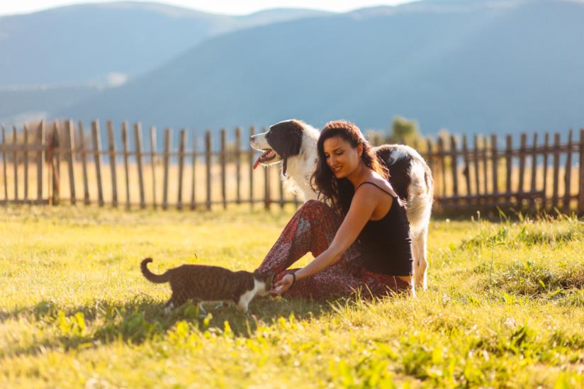 5 cose da fare in estate con i propri animali domestici 5 cose da fare in estate con i propri animali domestici