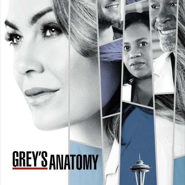 PUNTATE GREY ANATOMY DA SCARICA