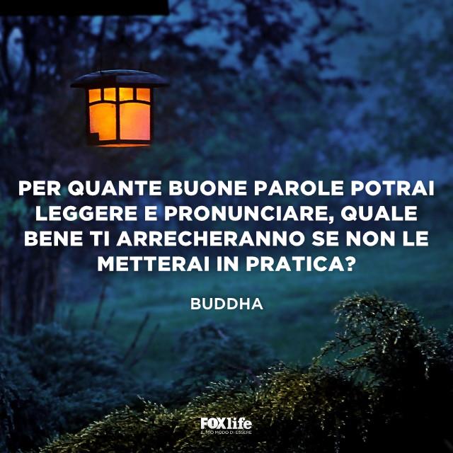 Le parole vanno messe in pratica Lanterna accesa in un bosco