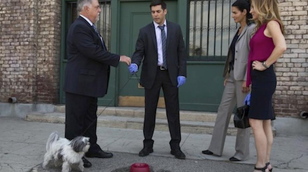 ep11 stagione 5 Rizzoli & Isles