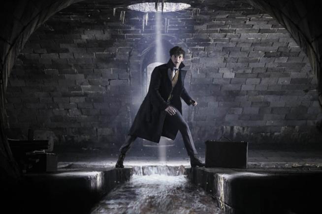 Eddie Redmayne in Animali Fantastici: I Crimini di Grindelwald Animali Fantastici: I Crimini di Grindelwald