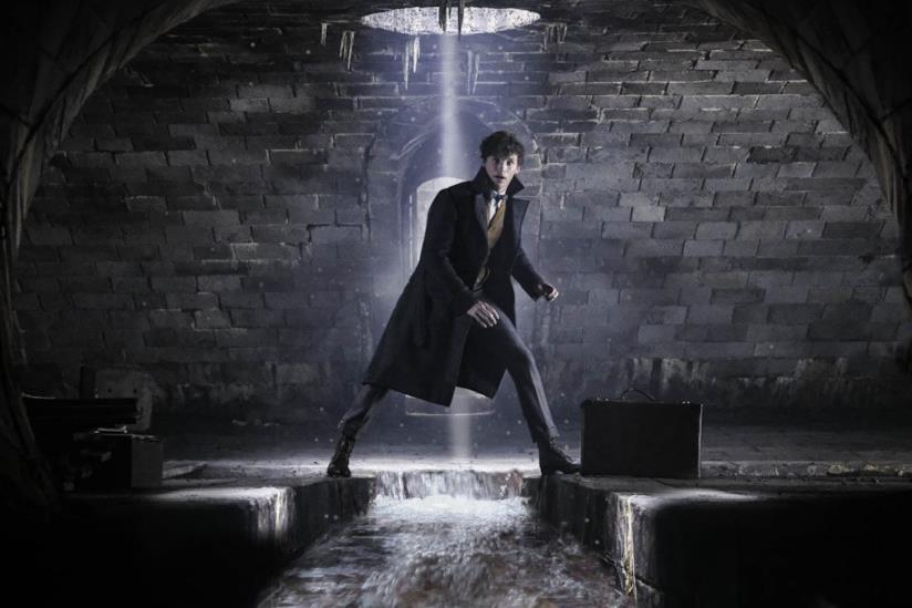 Eddie Redmayne in Animali Fantastici: I Crimini di Grindelwald Animali Fantastici: I Crimini di Grindelwald