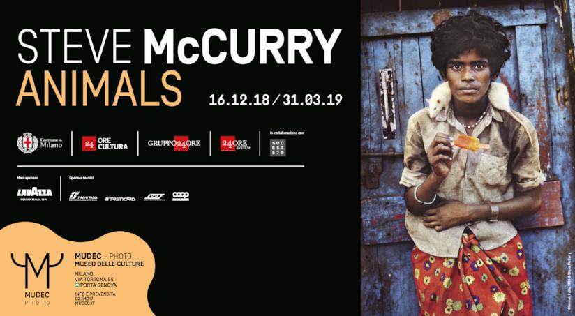 Animals di McCurry al MUDEC Banner della mostra