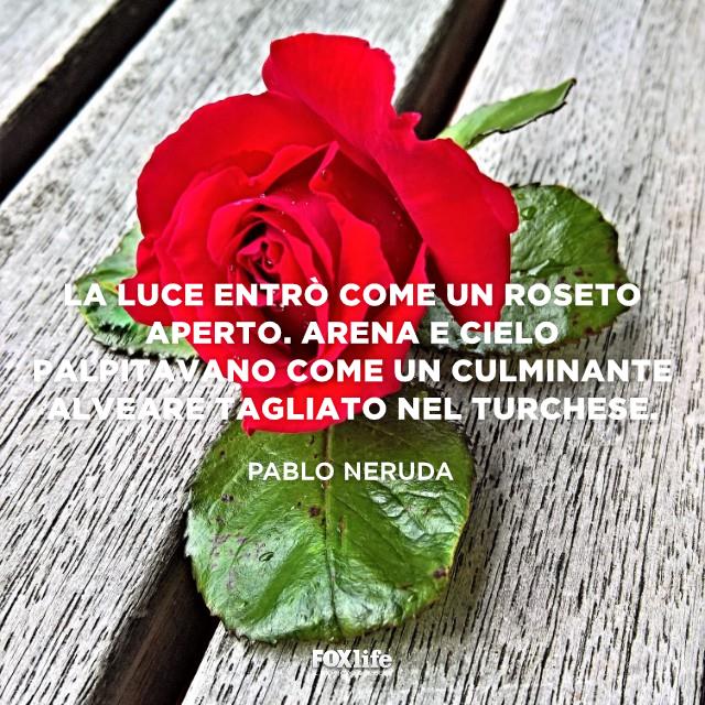 Frase tratta da una poesia di Neruda Rosa rossa su un tavolo di legno