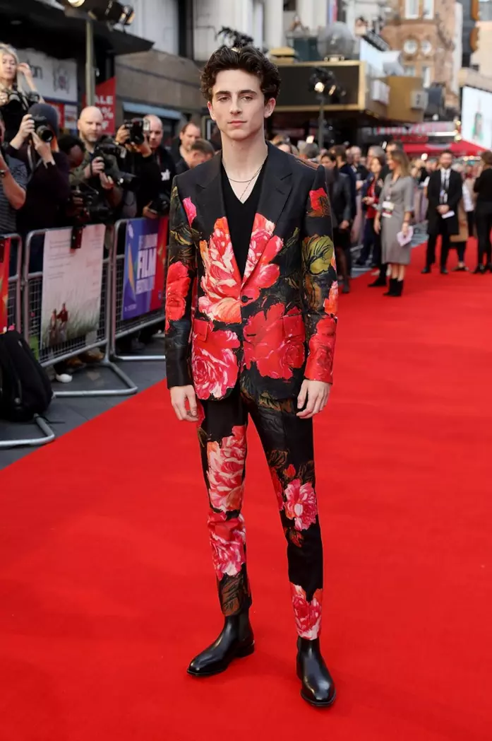 Timothée Chalamet alla première di Beautiful Boy Timothée Chalamet